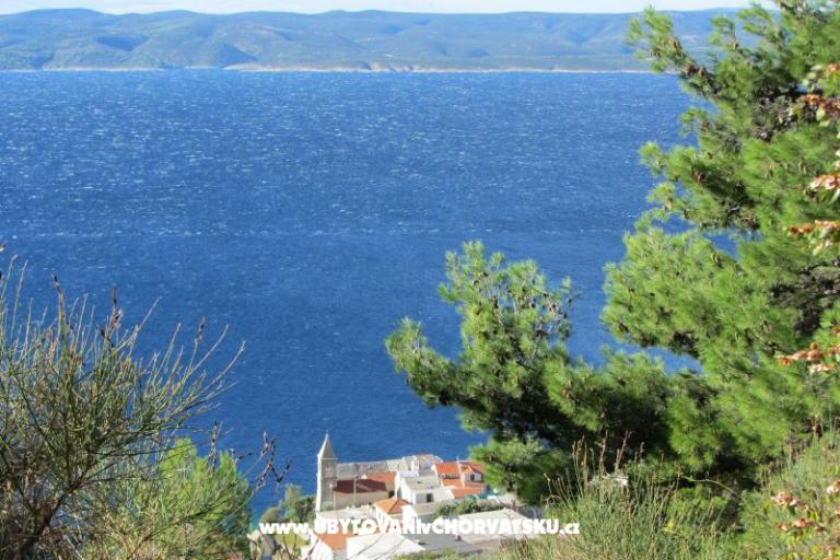 Apartmány  MARICA – foto 23