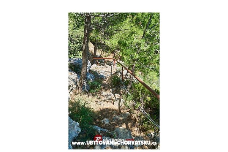 Apartmány AGAVA – foto 21