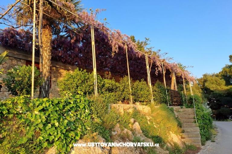 Apartmány AGAVA – foto 24