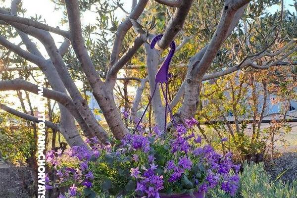 Apartmány AGAVA – foto 25