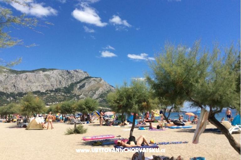 Apartmány Banović – foto 8