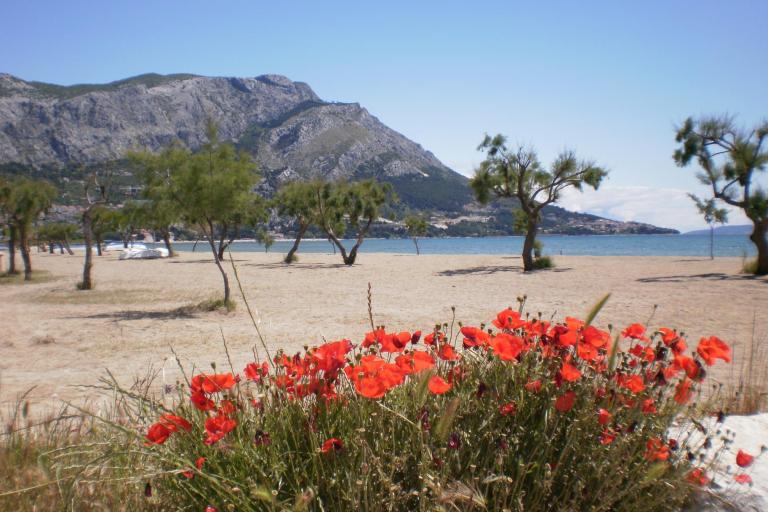 Apartmány Danka Čudić – foto 3