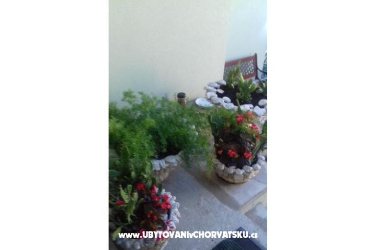 Apartmány Draga – foto 10