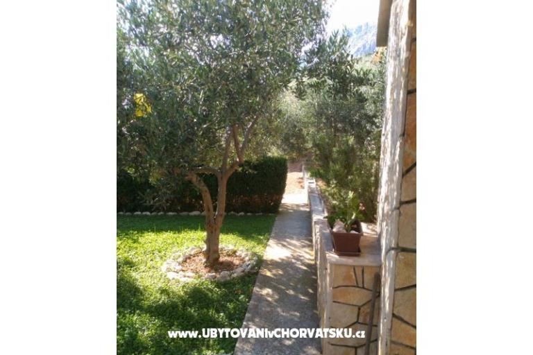 Apartmány Draga – foto 7