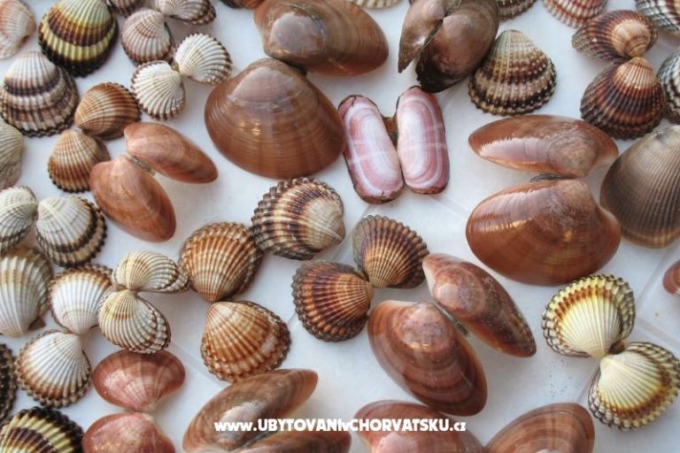 Apartmány Kaktus – foto 11