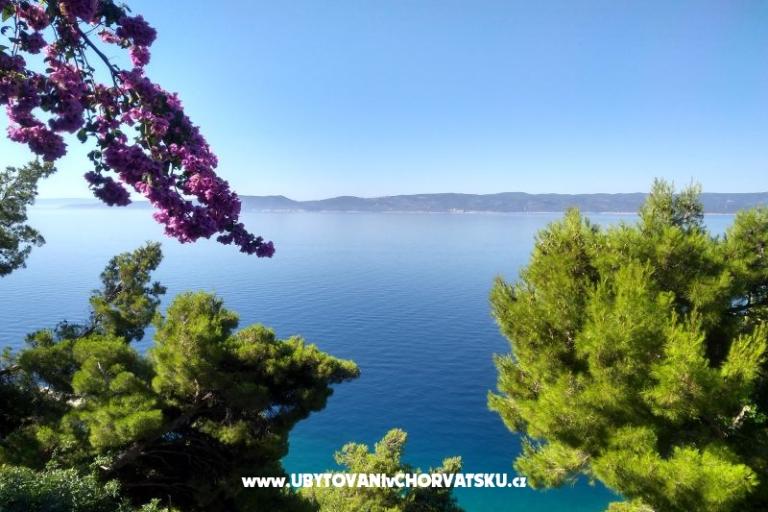 Apartmány Katica – foto 12