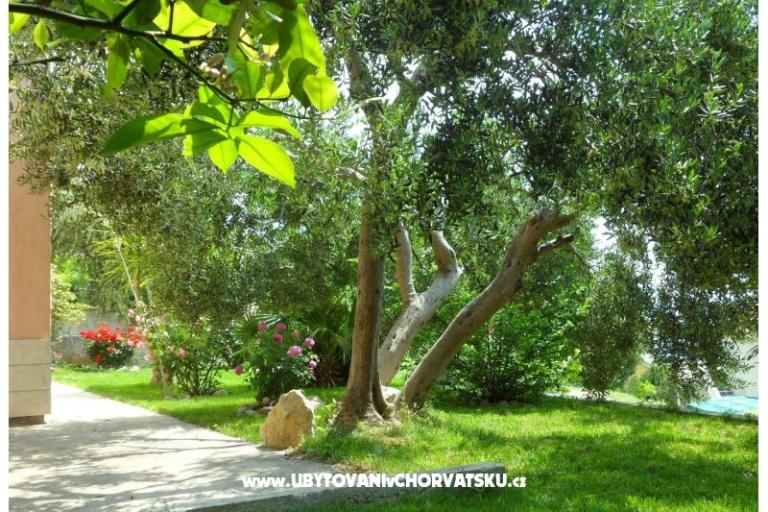 Apartmány Maja – foto 3