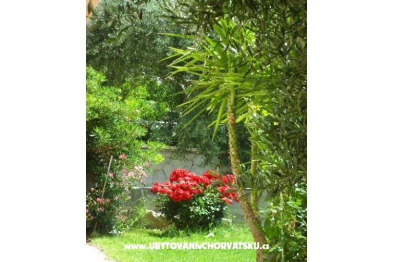 Apartmány Maja – foto 4