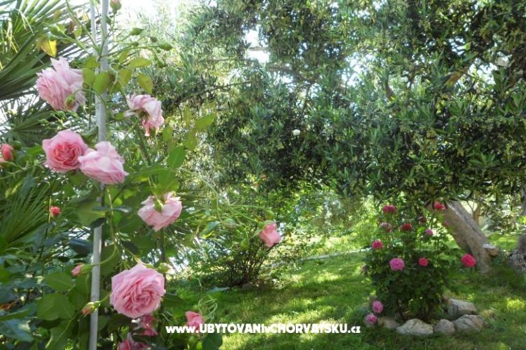 Apartmány Maja – foto 6