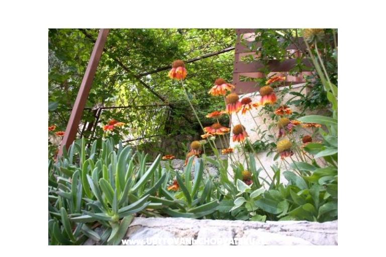 Apartmány Mirjana – foto 11