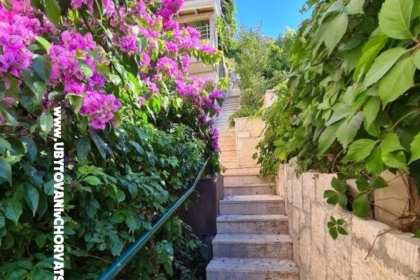 Apartmány Miro, Duće – foto 6