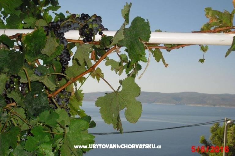 Apartmánts More ***Marušići – foto 10