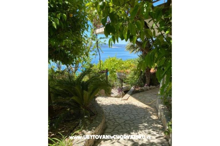 Apartmány VERA – foto 25