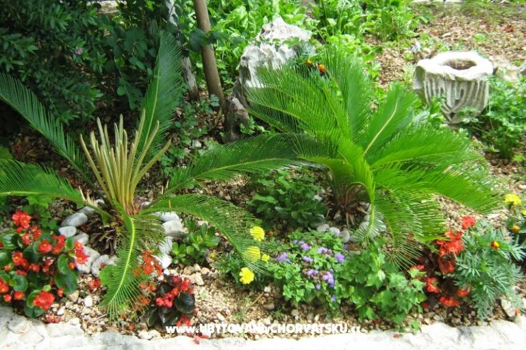 Apartmány VERA – foto 9