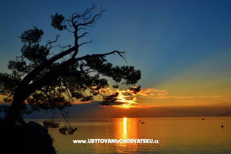 Apartmánmate omiš – foto 17