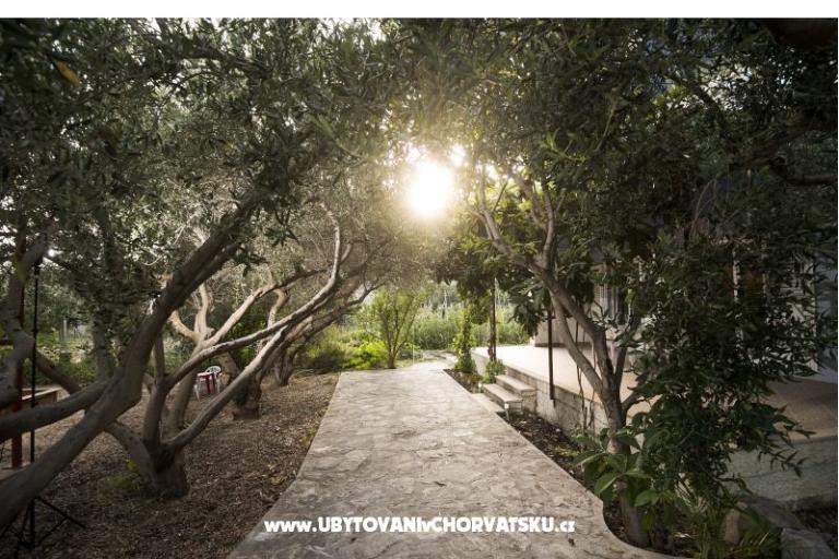 Apartmán Toni – foto 3