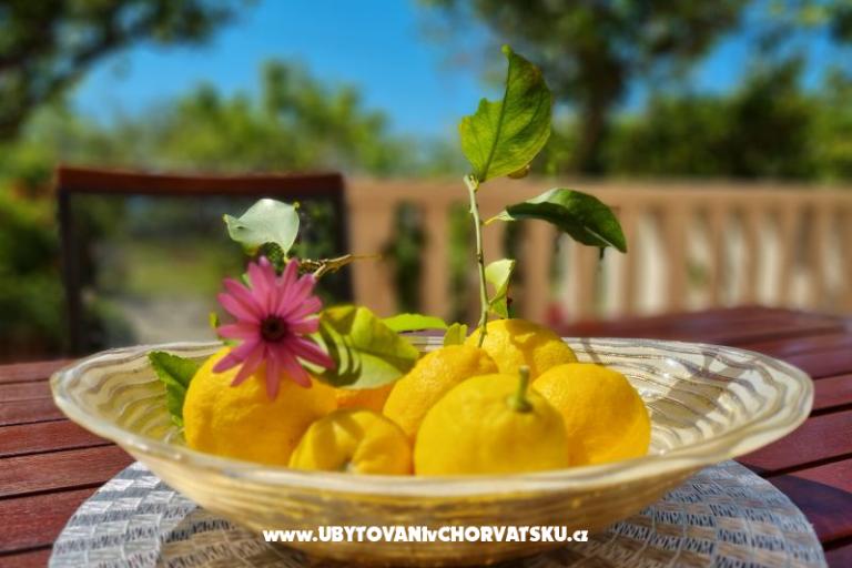 Apartmány Diridonda – foto 46
