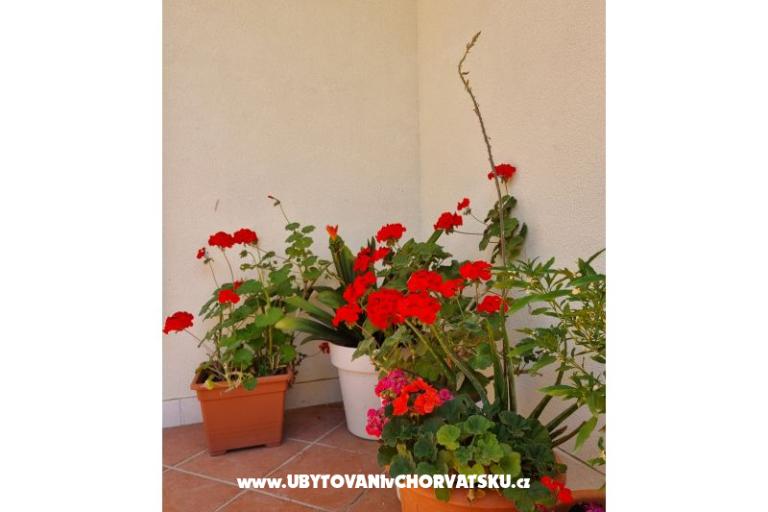 Apartmány Diridonda – foto 48