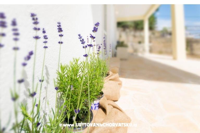 Apartmány Mara – foto 5