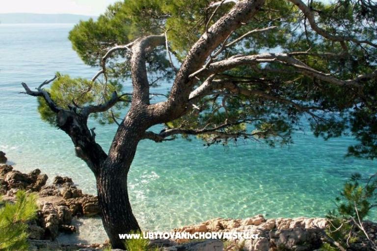 Apartmány Milka i Jozo – foto 14