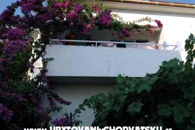  Calypso Diving Apartmány – foto 11