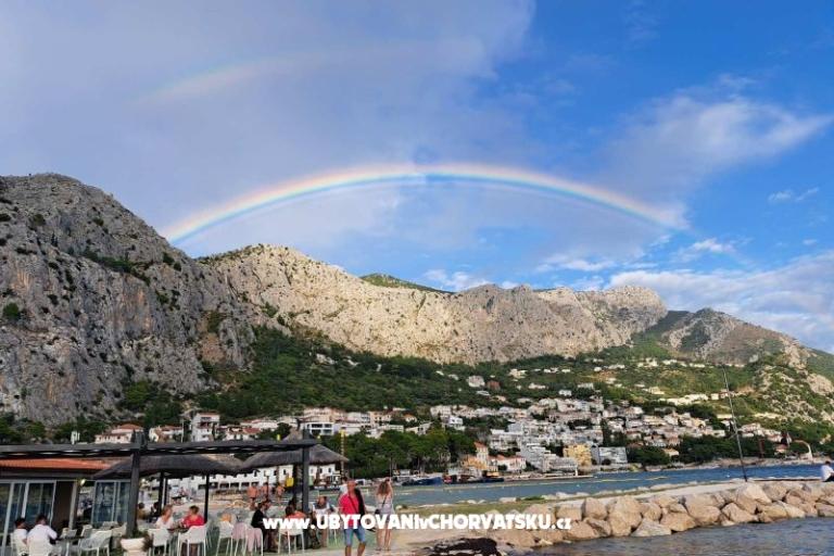  Calypso Diving Apartmány – foto 17