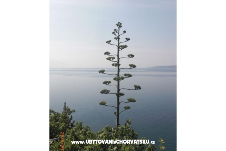 Apartmány Culjak  Omiš Marušići – foto 3