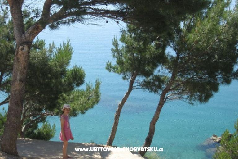 Dom Kuzmanić – foto 11