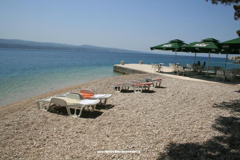 Ljetni san – foto 5