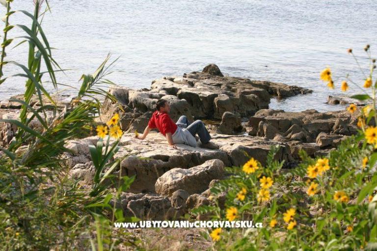 Bungalows Savudrija – foto 8