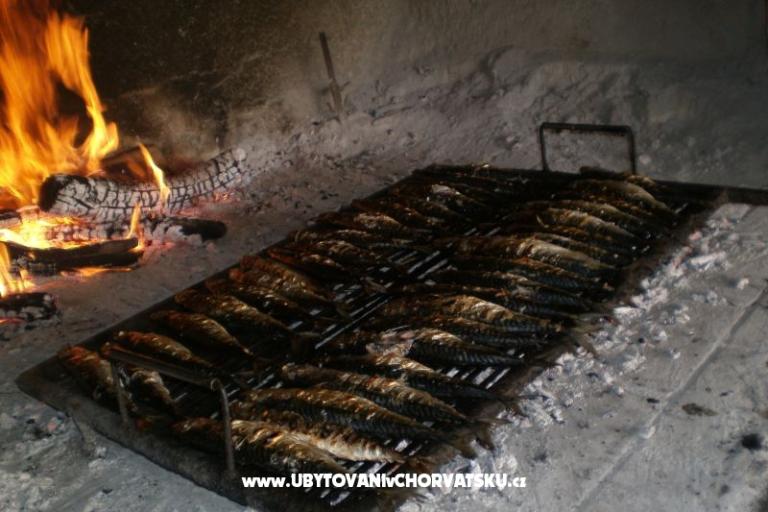 Pansion Šarić – foto 12