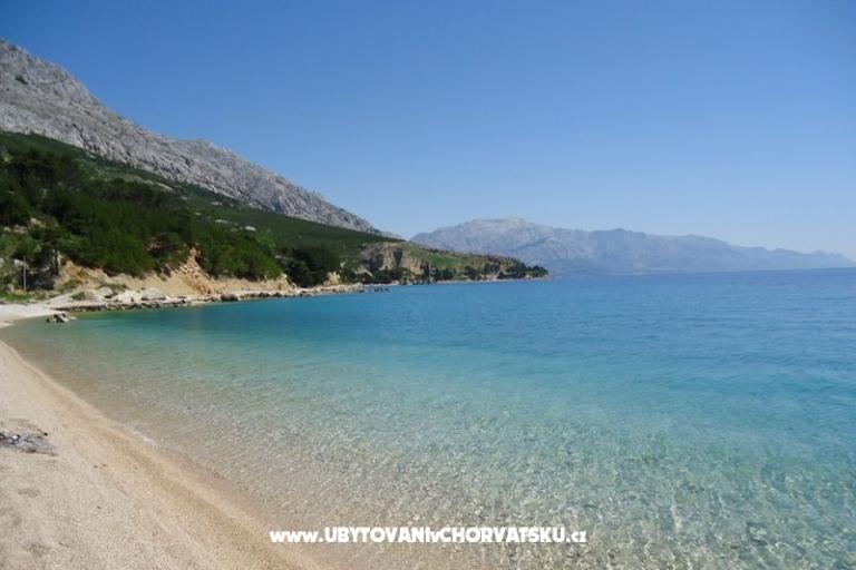 Pansion Šarić – foto 14