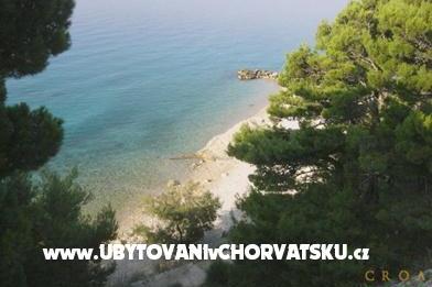 Pansion Šarić – foto 4