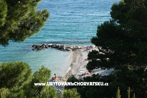 Pansion Šarić – foto 8