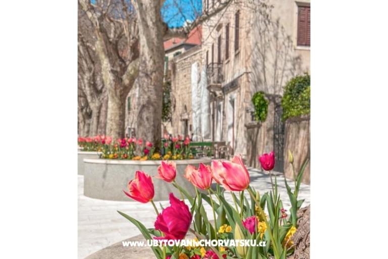 Villa Aria – foto 29