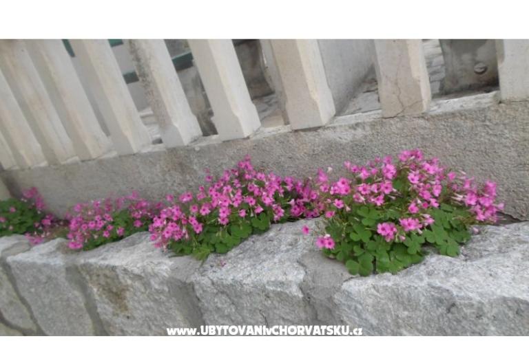 Villa Kaštelan – foto 14