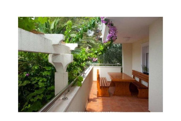 Villa Kokolo – foto 2