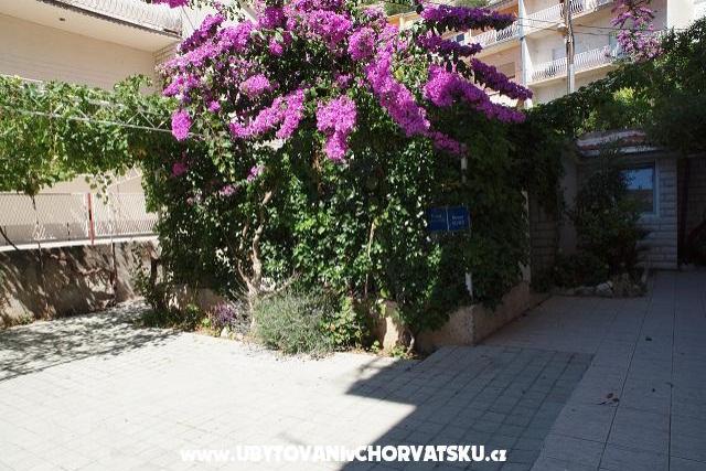 Villa Mimi – foto 2