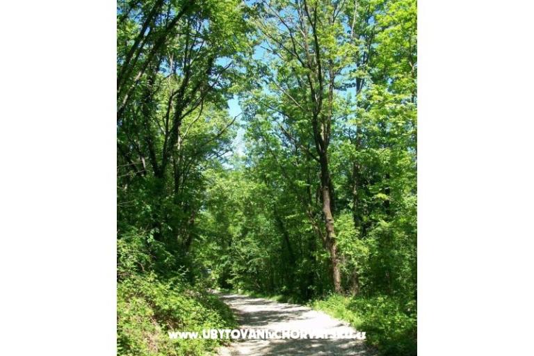 Apartmán Filipović Kastav – foto 17