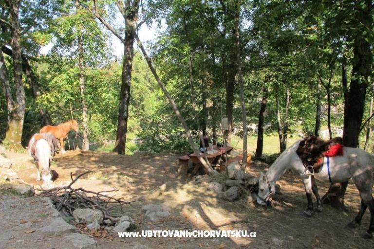 Apartmán Filipović Kastav – foto 18