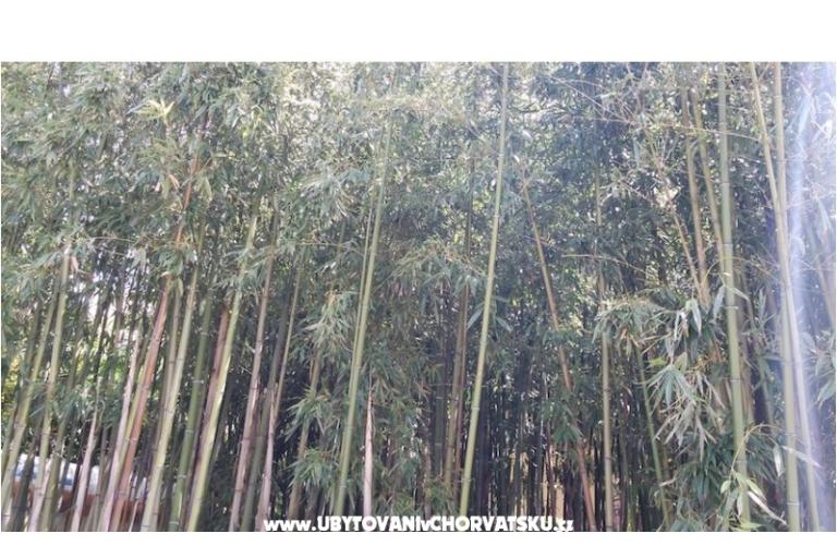 Apartmány &amp; rooms  Raspor – foto 11