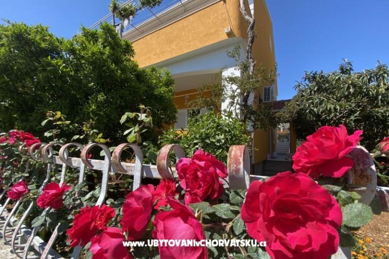 Apartmány  Ante – foto 12