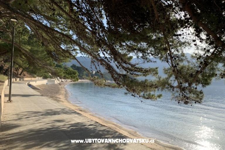 Apartmány  Ante – foto 13