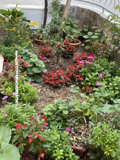 Apartmány  Ante – foto 26