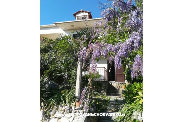 Apartmány Mali Raj – foto 17