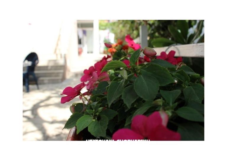 Apartmány Tanja – foto 3