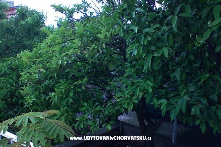 Apartmány Zorka – foto 13