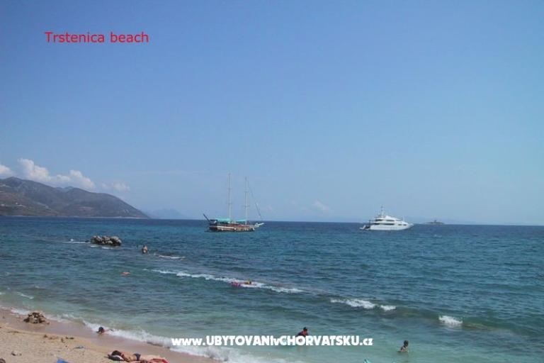 Dalmatina – foto 18