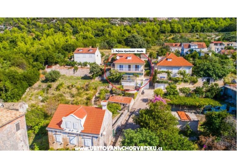 Pelješac Apartmány -Orsula  – foto 4