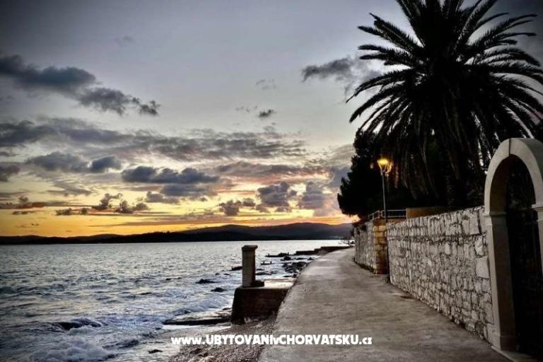 Vila Vida Orebić – foto 5